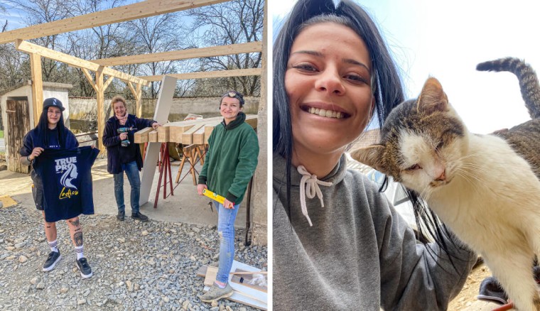 Den Anfang machte Magdalena alias @electriciangirl_, die mit ihrer Spende den österreichischen Verein "Kleine Wildtiere in großer Not" unterstütze.